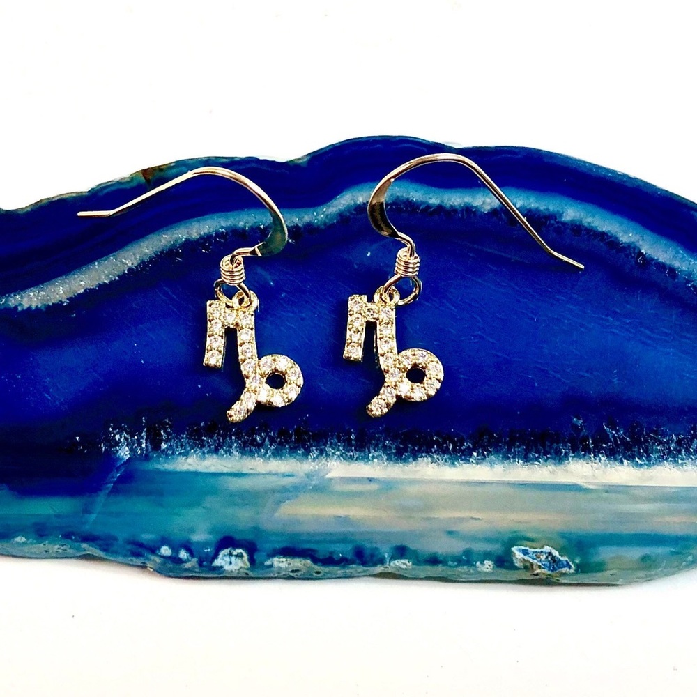 Capricorn Earrings, Constellation, Zodiac - Picture 1 of 6